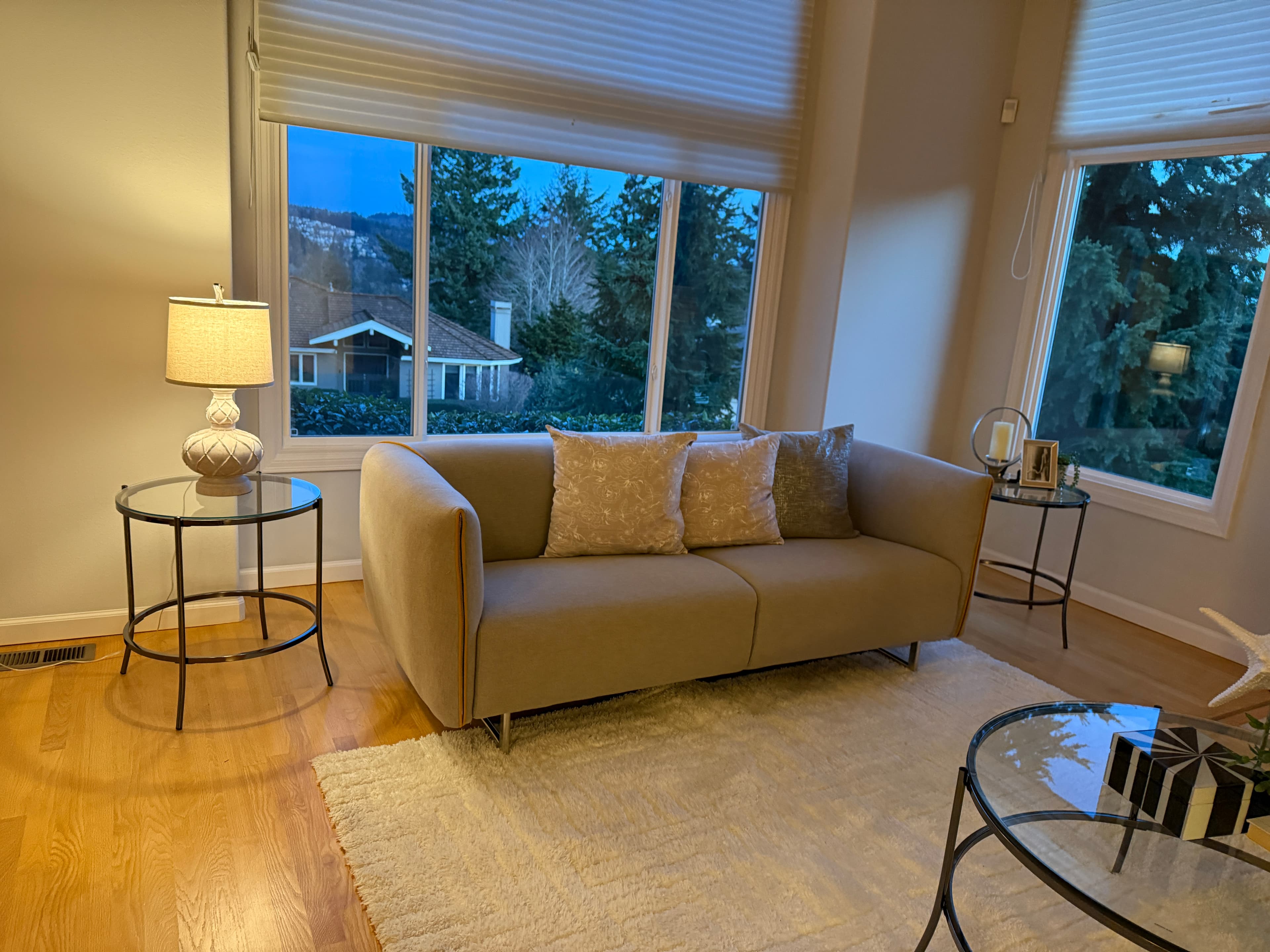 Living Room — Sofa & Bay Windows