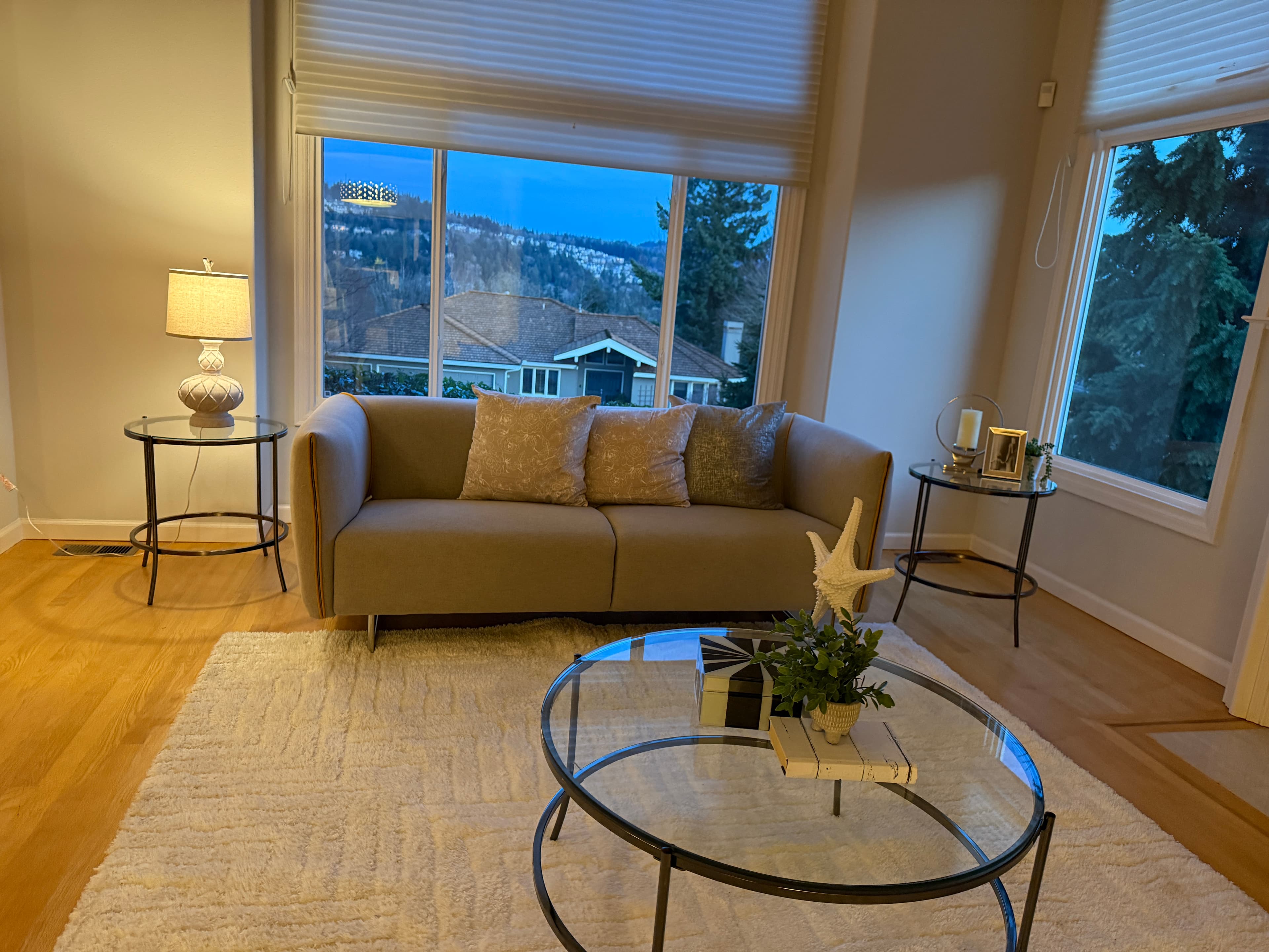 Living Room — Sofa & Coffee Table